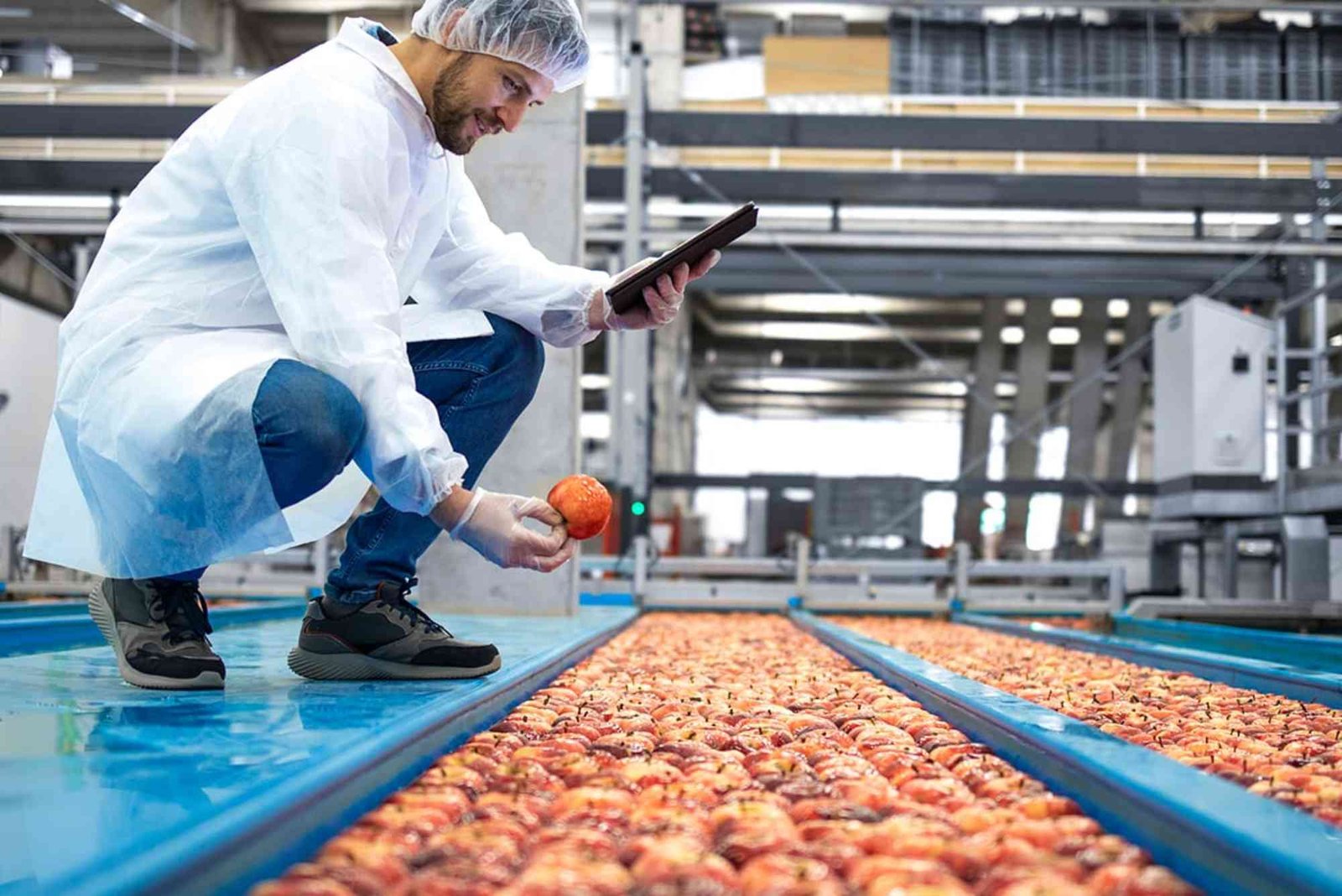 Top Challenges in Modern Food Manufacturing