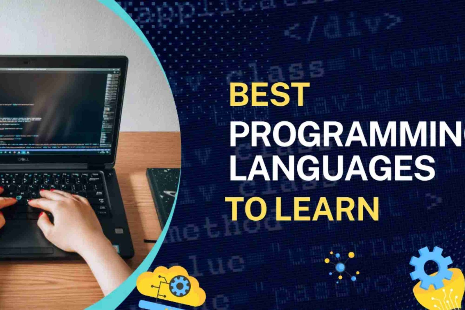 Best Programming Languages to Learn This Year